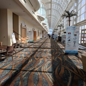 HYATT LOBBY CARPET (SOLD OUT)