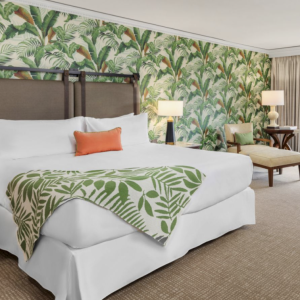 Fantasy Guest Rooms